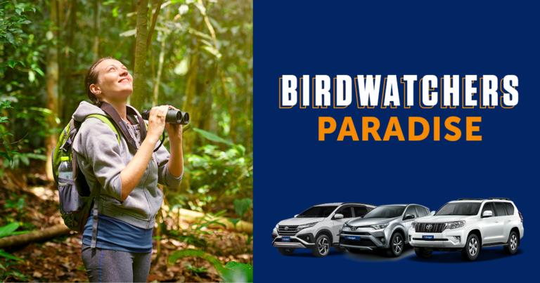 Costa Rica – A birdwatchers paradise