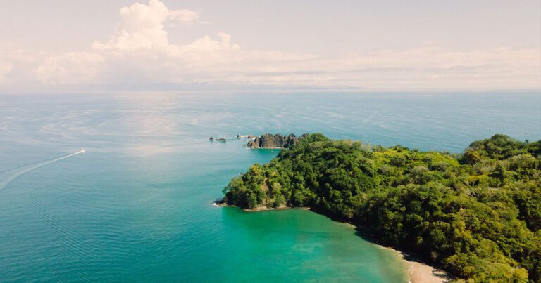 From the Jungle to the Beach: Manuel Antonio National Park Adventures with Budget Car Rental