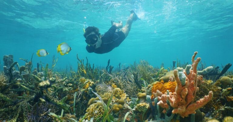 cano island snorkeling